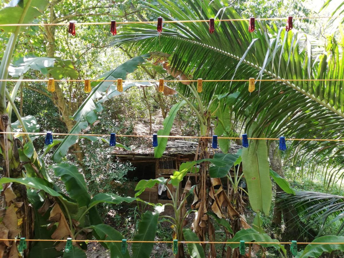 Sea Breeze Garden Hotel Tangalle Buitenkant foto